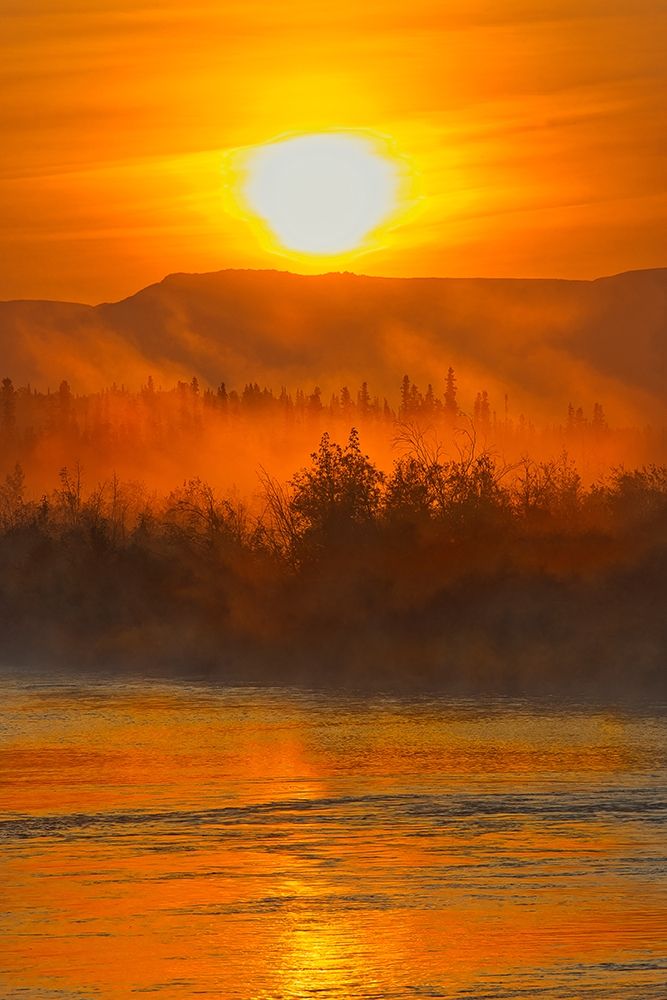 Canada-Yukon-Kluane National Park Fog on Dezadeash River at sunrise art print by Jaynes Gallery for $57.95 CAD
